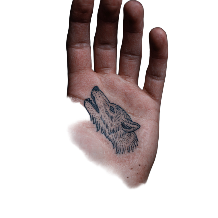 Wolf Head Tattoo V5 Vinyl Car Decal Sticker – Waterproof & UV-Resistant 3.4133333333333336"