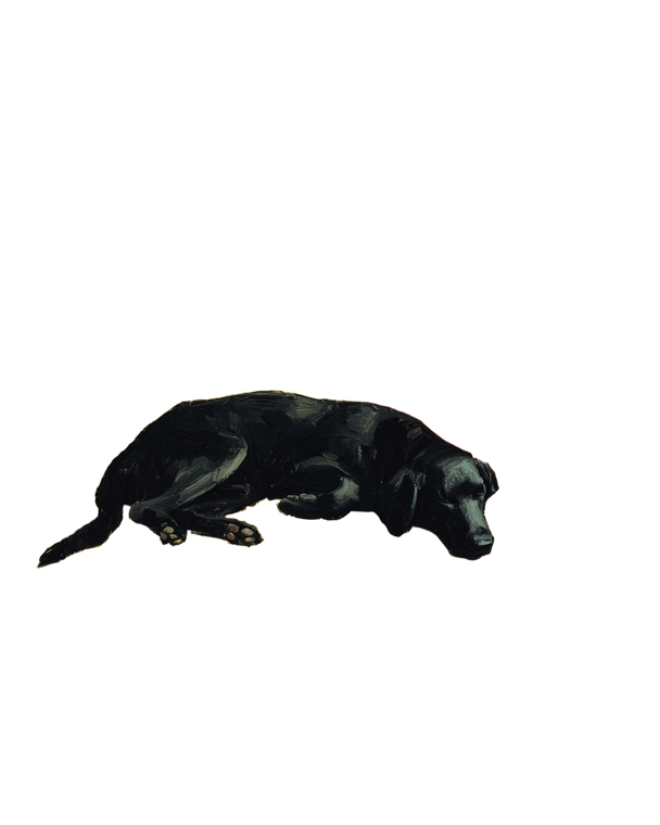 Sleeping Labrador V6 Vinyl Car Decal Sticker – Waterproof & UV-Resistant 4.0"