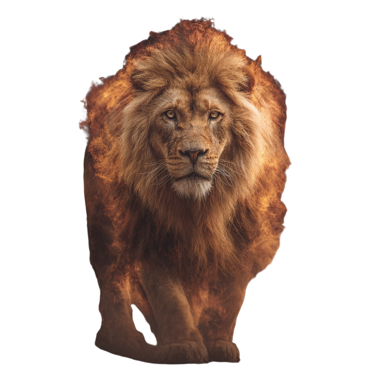 Fire Mane Lion Vinyl Car Decal Sticker – Waterproof & UV-Resistant 3.4133333333333336"