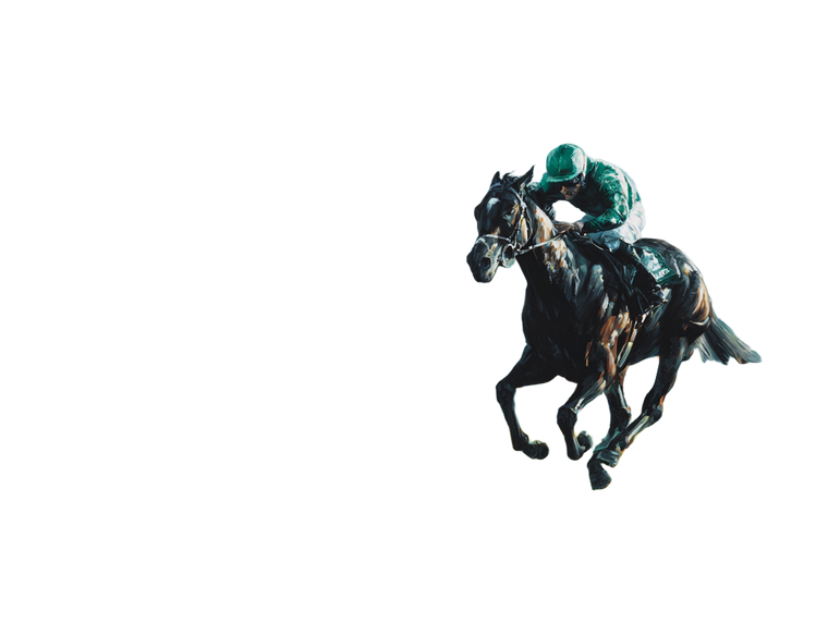 Elite Racehorse Gallop Vinyl Car Decal Sticker – Waterproof & UV-Resistant 6.1866666666666665"