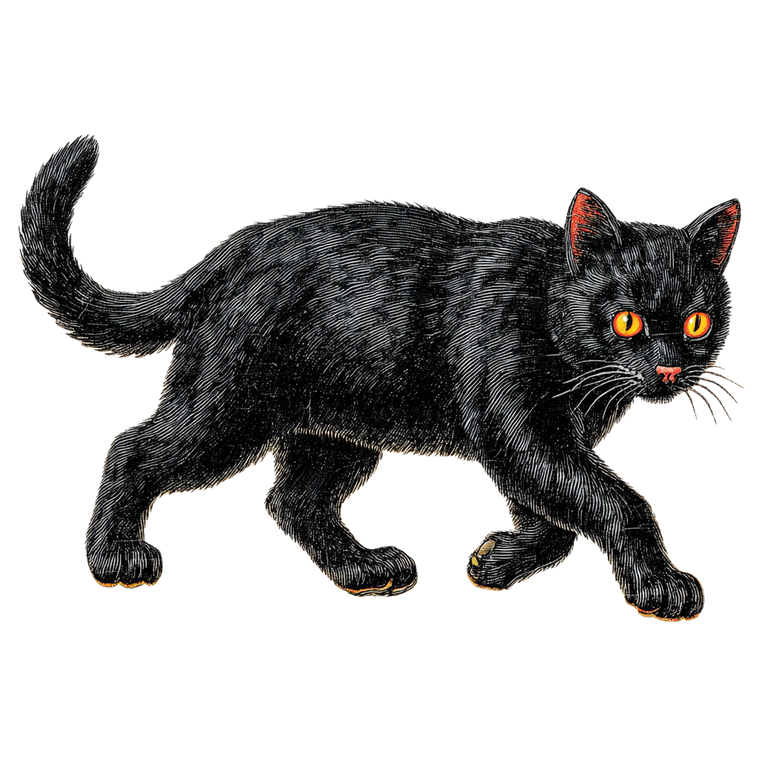 Vintage Halloween Cat V5 Vinyl Car Decal Sticker – Waterproof & UV-Resistant 6.826666666666667"