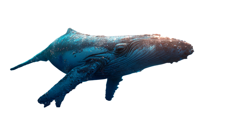 Super Whale Vinyl Car Decal Sticker – Waterproof & UV-Resistant 2.72"