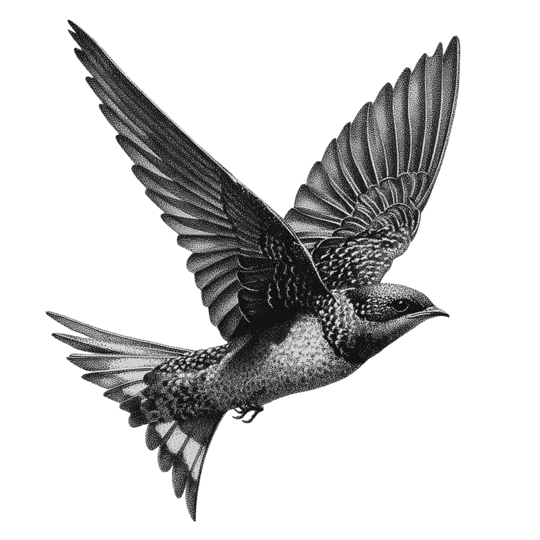 Flying Swallow Art V2 Vinyl Car Decal Sticker – Waterproof & UV-Resistant 3.4133333333333336"