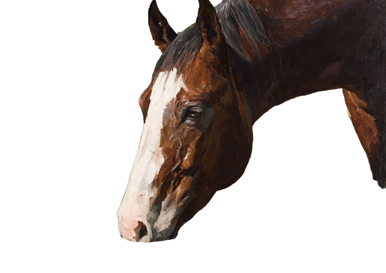 Horse Drinking Vinyl Car Decal Sticker – Waterproof & UV-Resistant 6.1866666666666665"