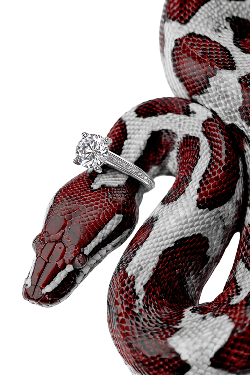 Gucci Boa Constrictor V2 Vinyl Car Decal Sticker – Waterproof & UV-Resistant 8.96"