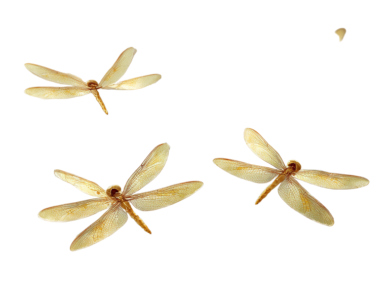 Glowing Dragonflies Vinyl Car Decal Sticker – Waterproof & UV-Resistant 6.1866666666666665"