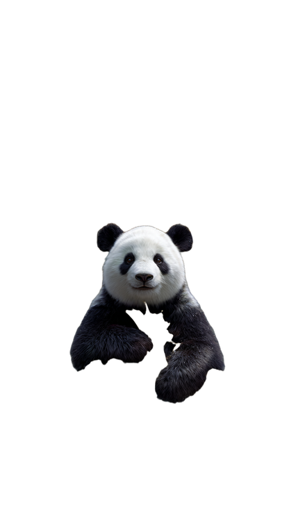 Panda On Kunlun Vinyl Car Decal Sticker – Waterproof & UV-Resistant 4.8533333333333335"