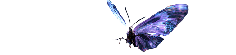 Emerging Cyber Butterfly Vinyl Car Decal Sticker – Waterproof & UV-Resistant 1.76"