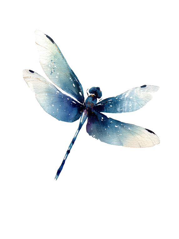Distant Dragonfly Illustration Vinyl Car Decal Sticker – Waterproof & UV-Resistant 8.213333333333333"