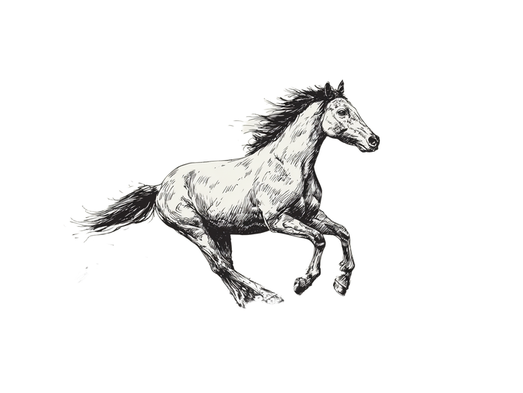 Running Mustang Vinyl Car Decal Sticker – Waterproof & UV-Resistant 6.1866666666666665"