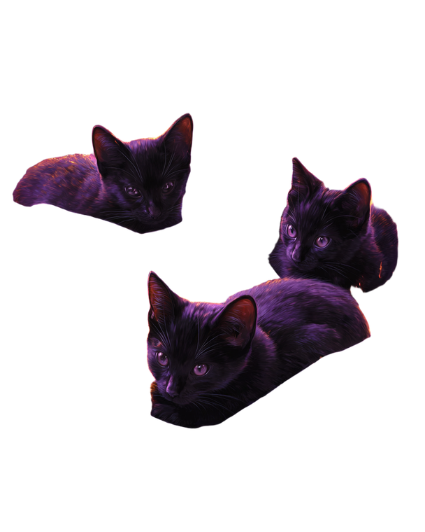 Flame-Tipped Kittens Vinyl Car Decal Sticker – Waterproof & UV-Resistant 4.0"