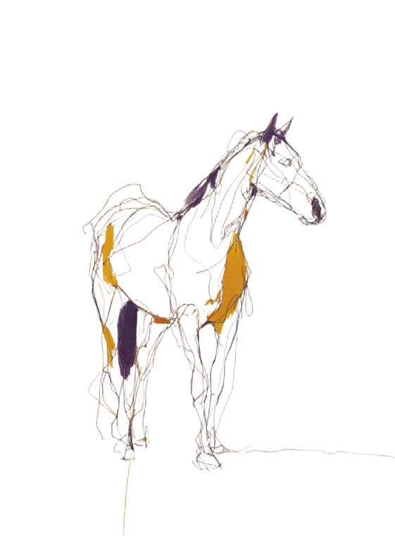 Colorful Line Horse Vinyl Car Decal Sticker – Waterproof & UV-Resistant 4.266666666666667"