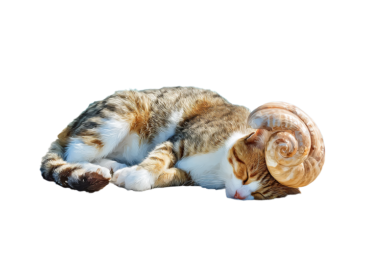 Shellback Cat Vinyl Car Decal Sticker – Waterproof & UV-Resistant 2.986666666666667"