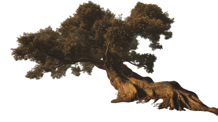 Primordial Tree Vinyl Car Decal Sticker – Waterproof & UV-Resistant 5.4