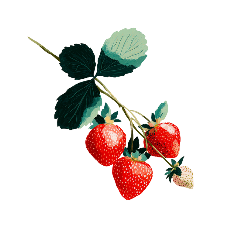 Minimalist Strawberries V3 Vinyl Car Decal Sticker – Waterproof & UV-Resistant 3.4133333333333336"
