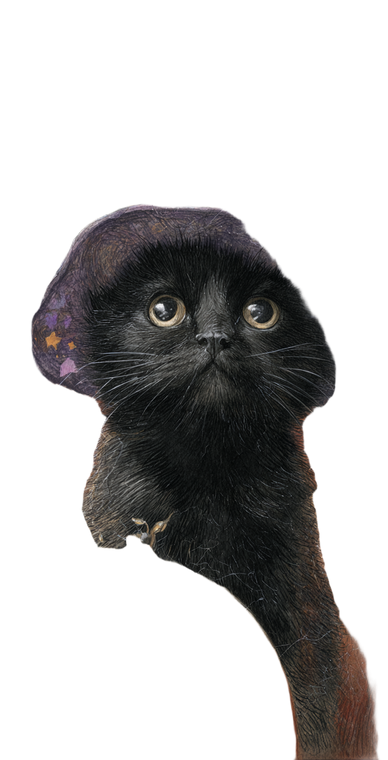 Witch Cat V13 Vinyl Car Decal Sticker – Waterproof & UV-Resistant 5.12"