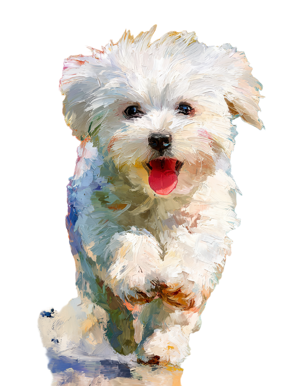 Happy Maltese Puppy V5 Vinyl Car Decal Sticker – Waterproof & UV-Resistant 4.0"