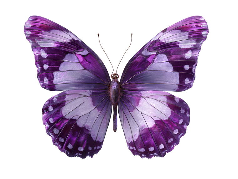 Purple Butterfly V10 Vinyl Car Decal Sticker – Waterproof & UV-Resistant 6.1866666666666665"