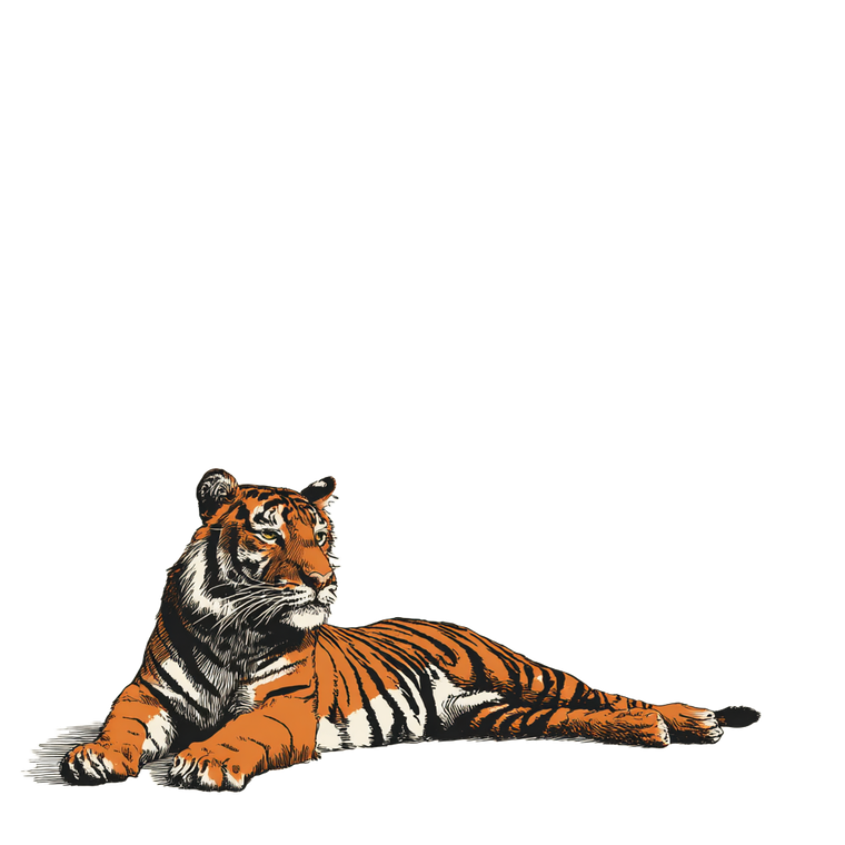 Chill Bengal Tiger Vinyl Car Decal Sticker – Waterproof & UV-Resistant 6.826666666666667"