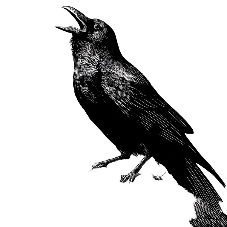 Aggressive Crow Vector V2 Vinyl Car Decal Sticker – Waterproof & UV-Resistant 6.826666666666667"