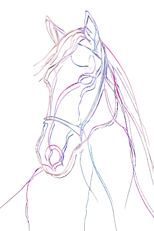Neon Horse Woman V2 Vinyl Car Decal Sticker – Waterproof & UV-Resistant 8.96"