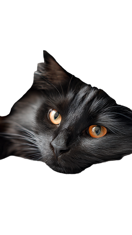 Moody Turkish Angora Vinyl Car Decal Sticker – Waterproof & UV-Resistant 9.706666666666667"