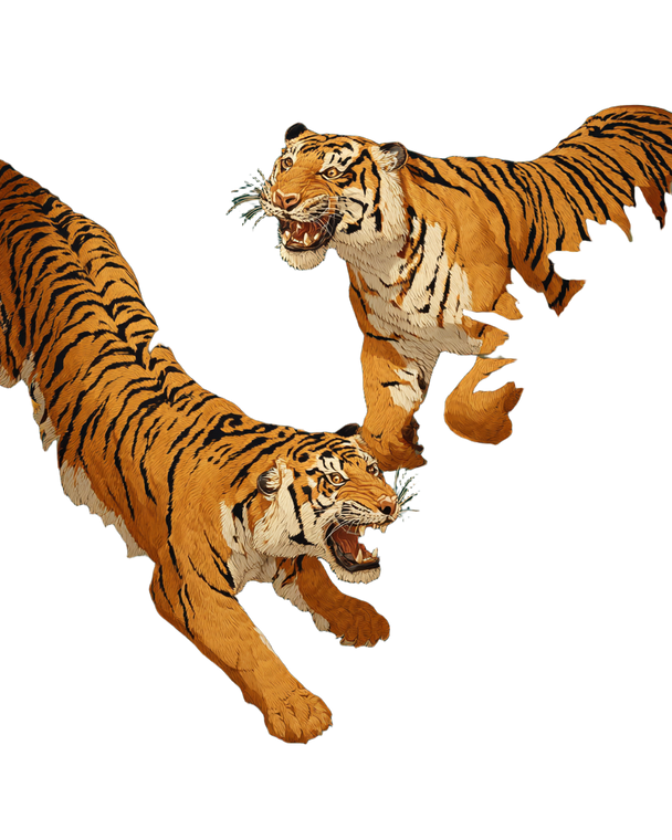 Fighting Tigers Art Vinyl Car Decal Sticker – Waterproof & UV-Resistant 4.0"