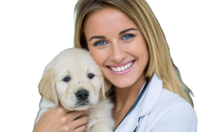 Happy Veterinarian V2 Vinyl Car Decal Sticker – Waterproof & UV-Resistant 5.97333333333333