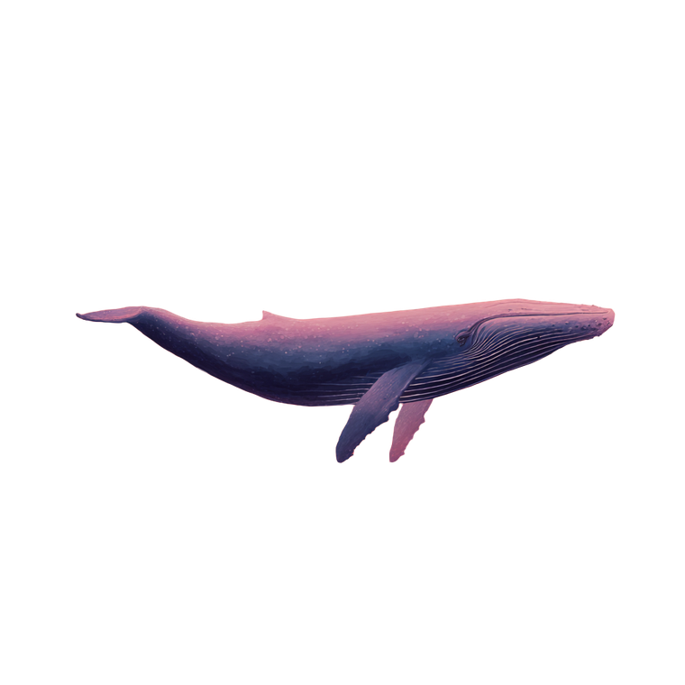 Blue Whale Sky Vinyl Car Decal Sticker – Waterproof & UV-Resistant 3.4133333333333336"