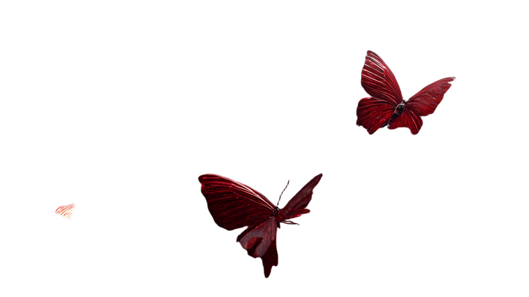 Red Butterfly Dream Vinyl Car Decal Sticker – Waterproof & UV-Resistant 2.72"