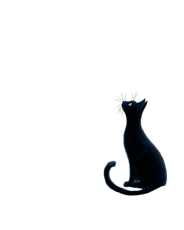 Black Cat Stargazing Vinyl Car Decal Sticker – Waterproof & UV-Resistant 8.0"