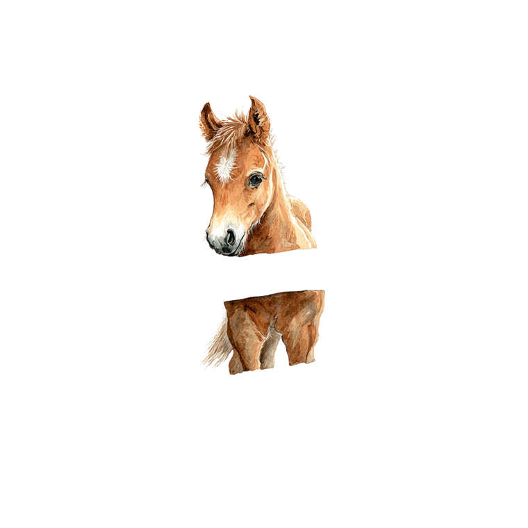 Cute Baby Horse V4 Vinyl Car Decal Sticker – Waterproof & UV-Resistant 6.826666666666667"