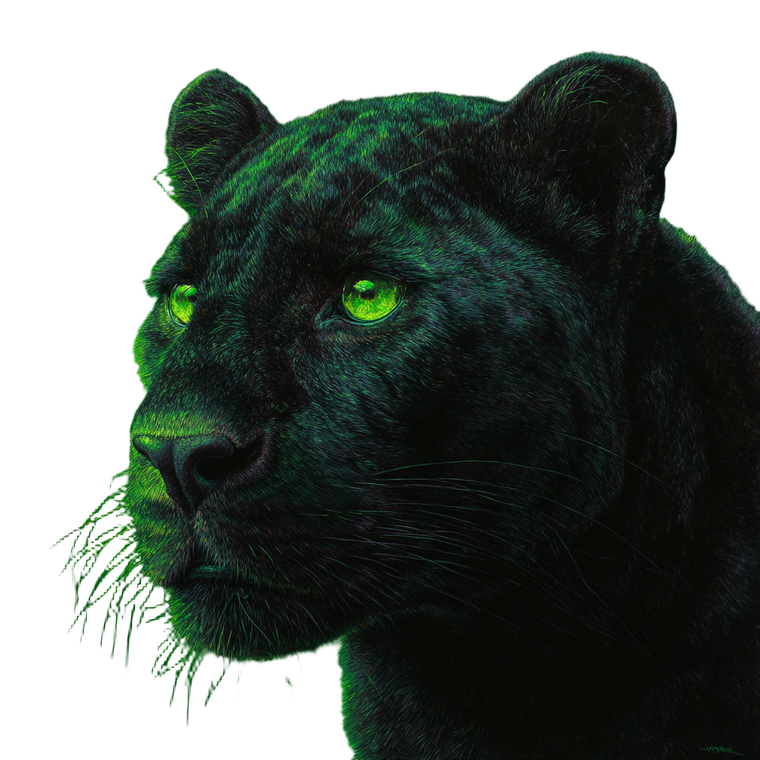 Neon Panther Portrait Vinyl Car Decal Sticker – Waterproof & UV-Resistant 3.4133333333333336"