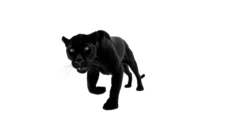 Black Panther Studio Vinyl Car Decal Sticker – Waterproof & UV-Resistant 5.4
