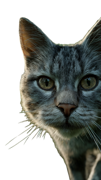 Park Cat V2 Vinyl Car Decal Sticker – Waterproof & UV-Resistant 4.8533333333333335"