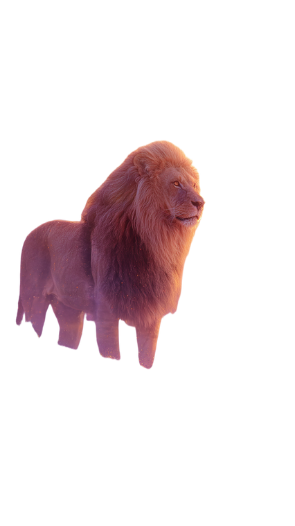 Majestic Cosmic Lion V6 Vinyl Car Decal Sticker – Waterproof & UV-Resistant 9.706666666666667"