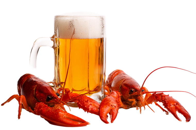 Beer With Crayfish V2 Vinyl Car Decal Sticker – Waterproof & UV-Resistant 5.97333333333333