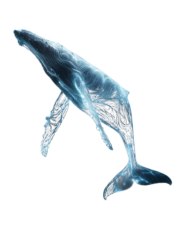 Bioluminescent Humpback Whale V2 Vinyl Car Decal Sticker – Waterproof & UV-Resistant 8.213333333333333"
