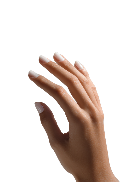 Manicured Hand Close-Up V2 Vinyl Car Decal Sticker – Waterproof & UV-Resistant 8.213333333333333"