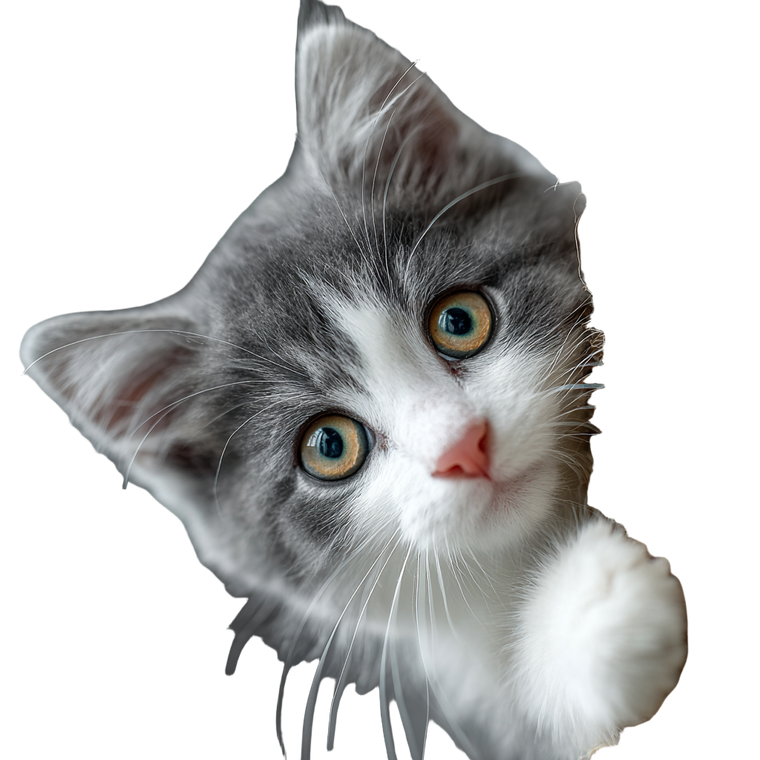 Playful Kitten Scratching Vinyl Car Decal Sticker – Waterproof & UV-Resistant 3.4133333333333336"