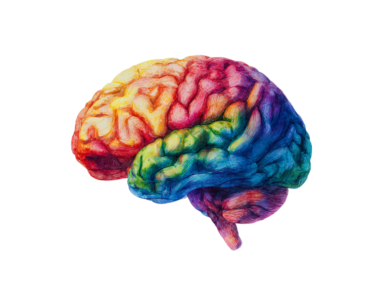 Colorful Brain Drawing Vinyl Car Decal Sticker – Waterproof & UV-Resistant 6.1866666666666665"