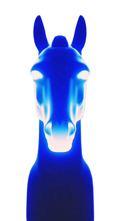 Horse Portrait V6 Vinyl Car Decal Sticker – Waterproof & UV-Resistant 9.706666666666667"