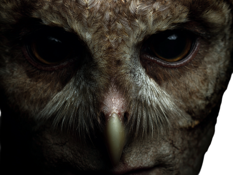 Owl Human Hybrid V2 Vinyl Car Decal Sticker – Waterproof & UV-Resistant 6.1866666666666665"