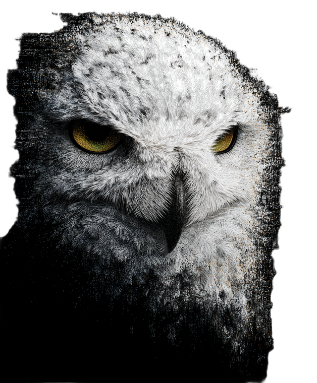 Feathered Vhs Owl Vinyl Car Decal Sticker – Waterproof & UV-Resistant 4.0"