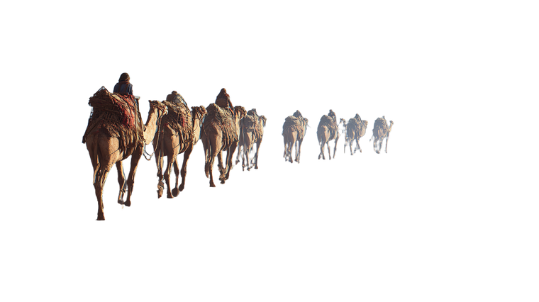 Ancient Camel Caravan V3 Vinyl Car Decal Sticker – Waterproof & UV-Resistant 2.72"