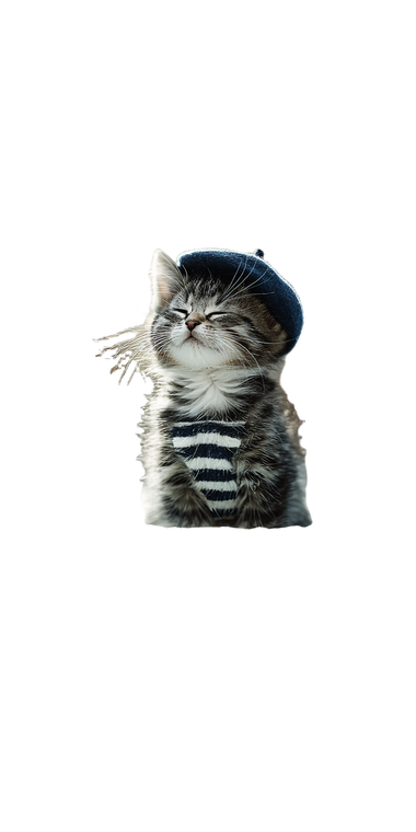 Stylish Cat V21 Vinyl Car Decal Sticker – Waterproof & UV-Resistant 10.2