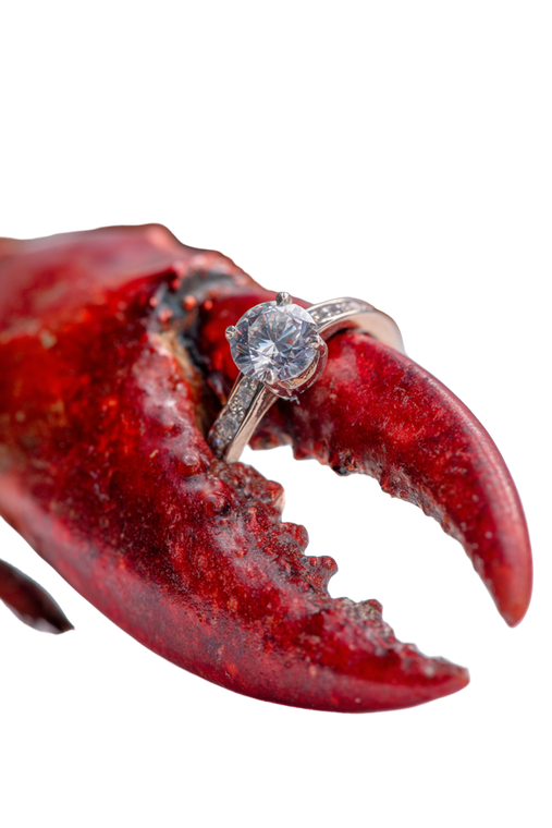 Lobster Claw Pinching Ring Vinyl Car Decal Sticker – Waterproof & UV-Resistant 8.96"