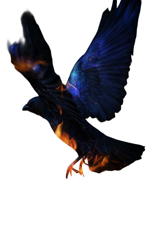 Flaming Mystic Raven V2 Vinyl Car Decal Sticker – Waterproof & UV-Resistant 8.96"
