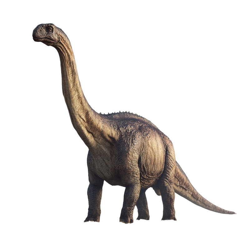 Camarasaurus Vinyl Car Decal Sticker – Waterproof & UV-Resistant 6.826666666666667"