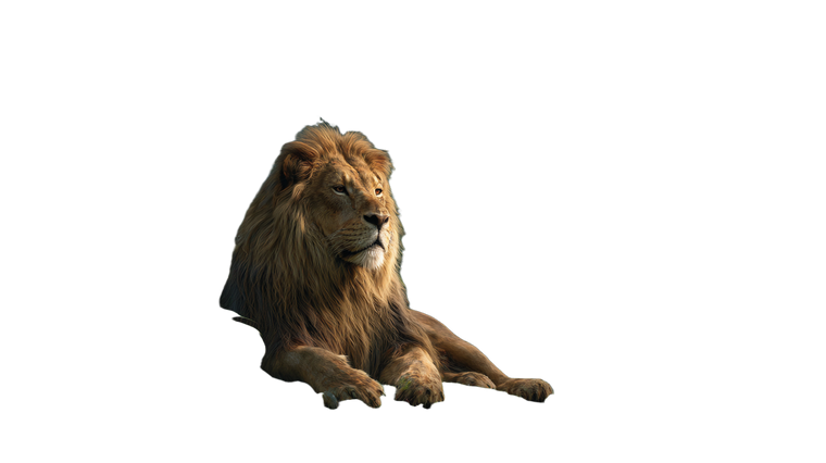 Majestic Jungle Lion V2 Vinyl Car Decal Sticker – Waterproof & UV-Resistant 5.4
